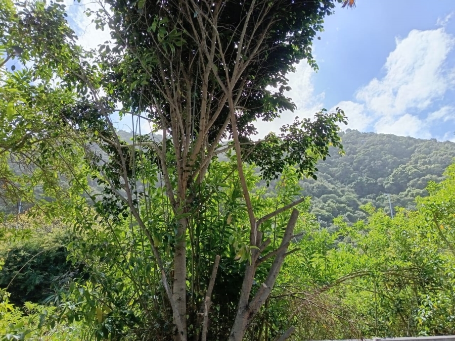 7 Bedroom Property for Sale in Wilderness Central Western Cape